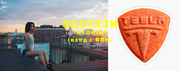 шишки Гусиноозёрск