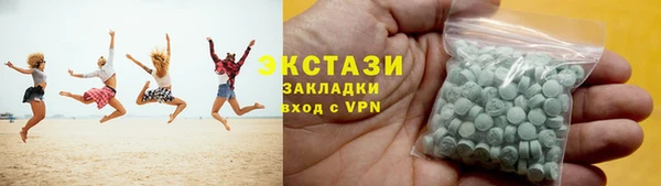 индика Надым