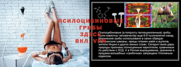 мяу мяу мука Сясьстрой