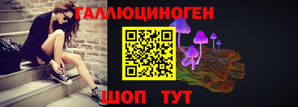 Галлюциногенные грибы Psilocybine cubensis Реж