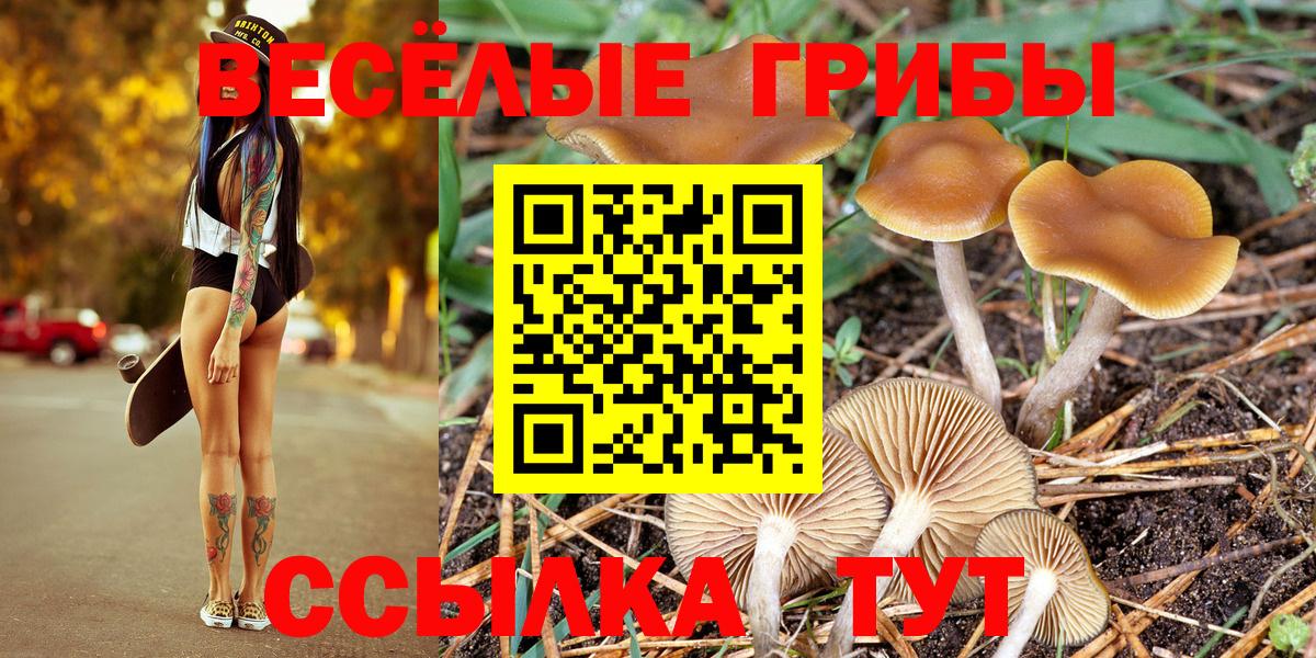 Галлюциногенные грибы мицелий  что такое   Реж  Вход с VPN 